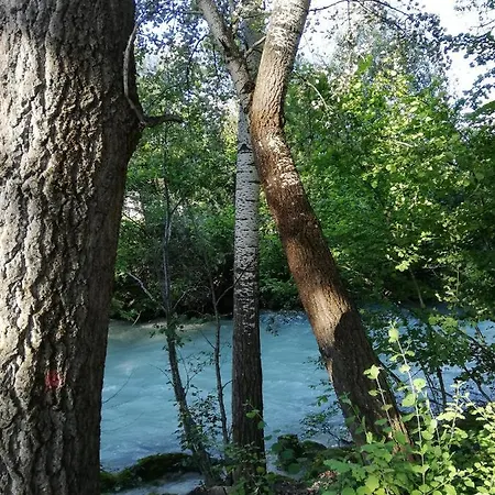 Chez Cathy Chez L'habitante 3* Bremis